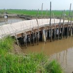 Bangunan Jembatan Jalan Usaha Tani Kampung Bumisari Diduga Jadi Ajang Korupsi PJ Kepala Kampung.