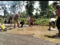 Sambut HUT Ke-25 Kabupaten Lampung Timur,”Masyarakat Sukadana Beramai – Ramai Panen Ikan Lele Diruas Jalan Yang Rusak Parah.