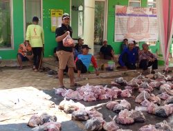 Pada Hari Idul Adha 1445 H,”Warga Kurnia Agung Potongan Hewan Qurban Sebanyak 6 Ekor Sapi dan Satu Ekor Kambing.