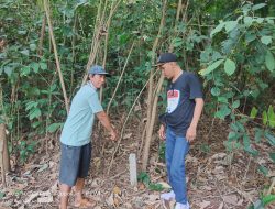 Diduga Lakukan Pengrusakan, Kades Braja Asri Dilaporkan ke Polres Lampung Timur