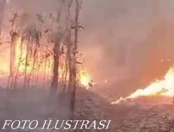 Akibat Terjadinya Peristiwa Kebakaran Lahan,Imam Warga Desa Labuhan Ratu VI Merasa Difitnah Dan Terintimindasi.